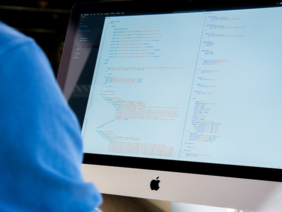 wordpress-website-development-for-business-growth