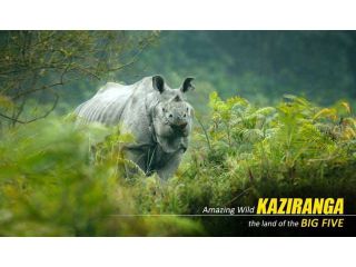 premium-kaziranga-tour-package-from-guwahati-small-1