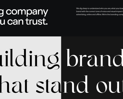 professional-branding-services-in-india-geekstack