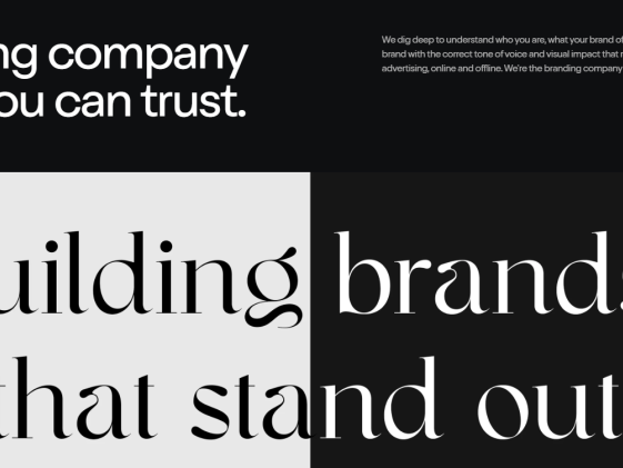 professional-branding-services-in-india-geekstack