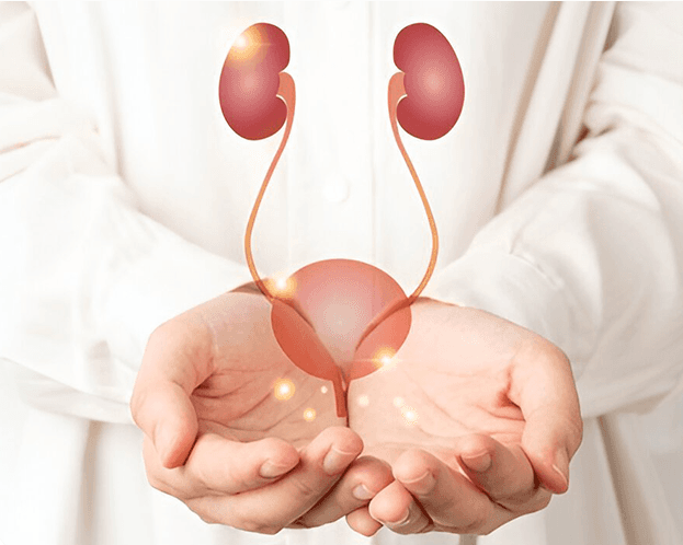 urological-clinic-in-kerala