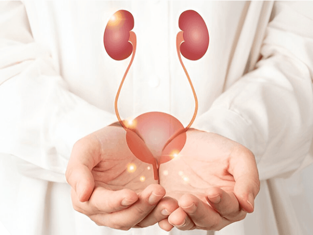 urological-clinic-in-kerala
