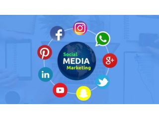 social-media-marketing-agency-in-india-small-0