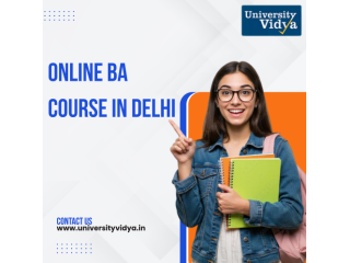 broaden-your-career-horizons-online-ba-course-in-delhi-small-0
