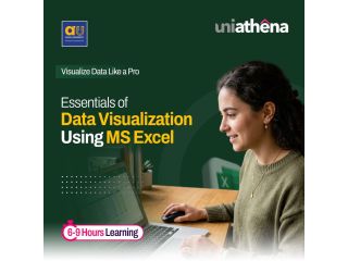 excel-data-visualization-course-with-certificate-uniathena-small-0