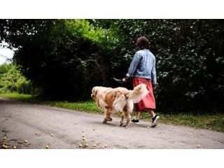 dog-walkers-in-delhi-small-0