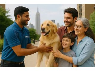 pet-relocation-services-small-0