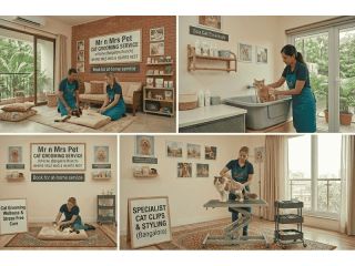 cat-grooming-in-bangalore-small-0
