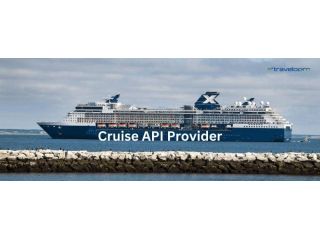 cruise-api-provider-small-0