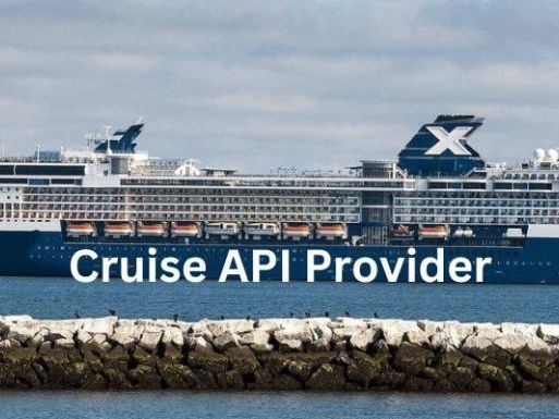 cruise-api-provider