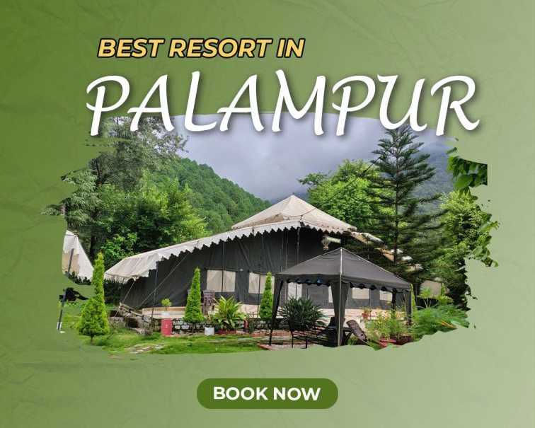 best-resorts-in-palampur-for-nature-lovers
