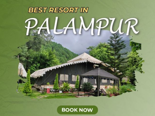 best-resorts-in-palampur-for-nature-lovers