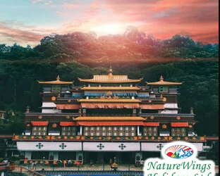 naturewings-holidays-special-bhutan-package-tour-from-delhi