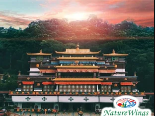 naturewings-holidays-special-bhutan-package-tour-from-delhi
