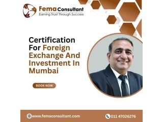 certification-for-foreign-exchange-and-investment-in-mumbai-small-0