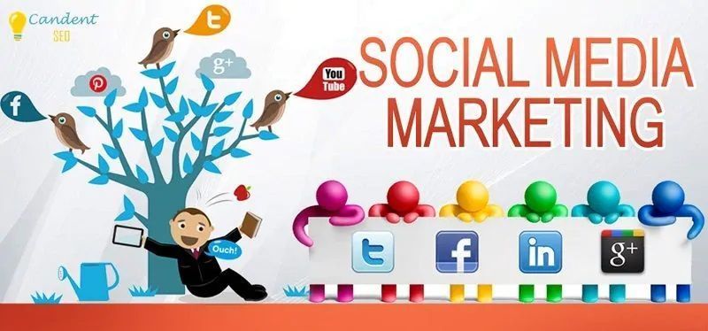 best-social-media-agency-in-patna-candent-seo-big-0