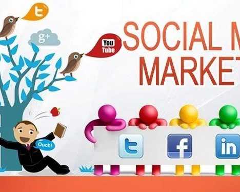 best-social-media-agency-in-patna-candent-seo