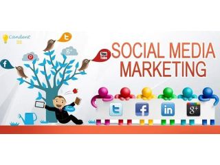 best-social-media-agency-in-patna-candent-seo-small-0