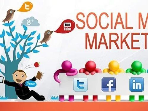 best-social-media-agency-in-patna-candent-seo