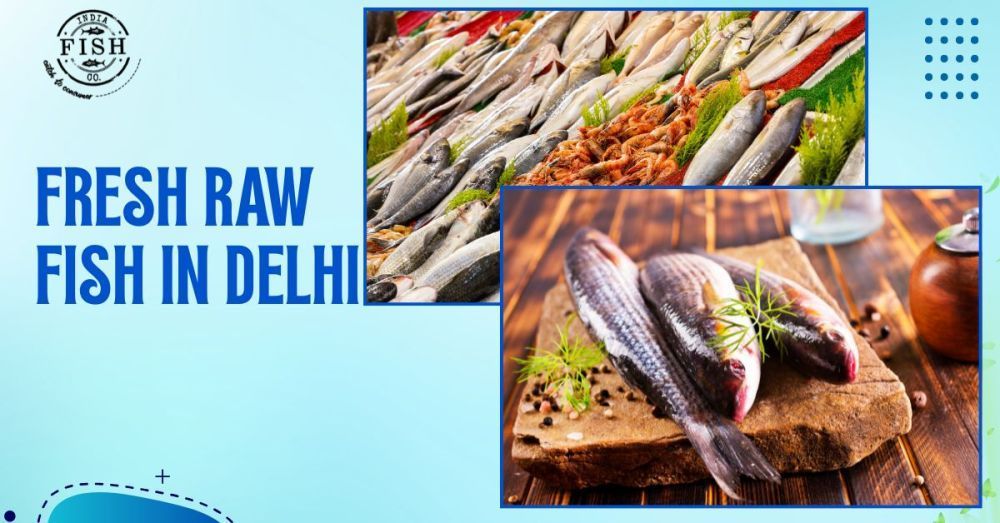 premium-fresh-raw-fish-in-delhi-with-fast-home-delivery-big-0