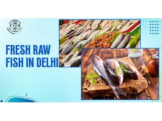 premium-fresh-raw-fish-in-delhi-with-fast-home-delivery-small-0