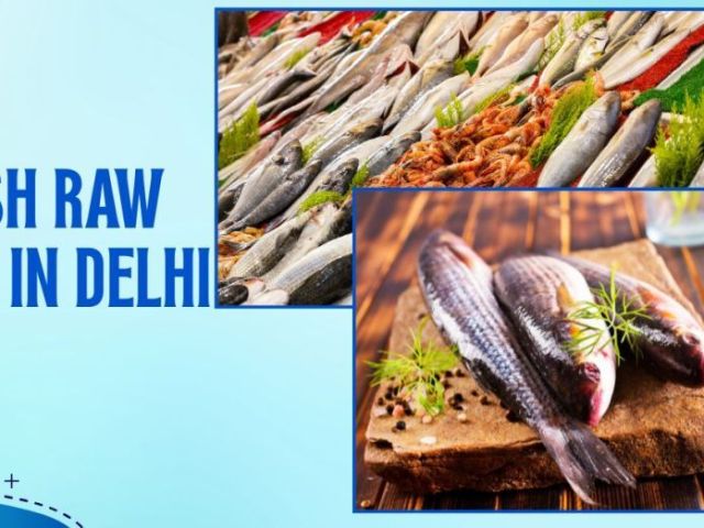 premium-fresh-raw-fish-in-delhi-with-fast-home-delivery