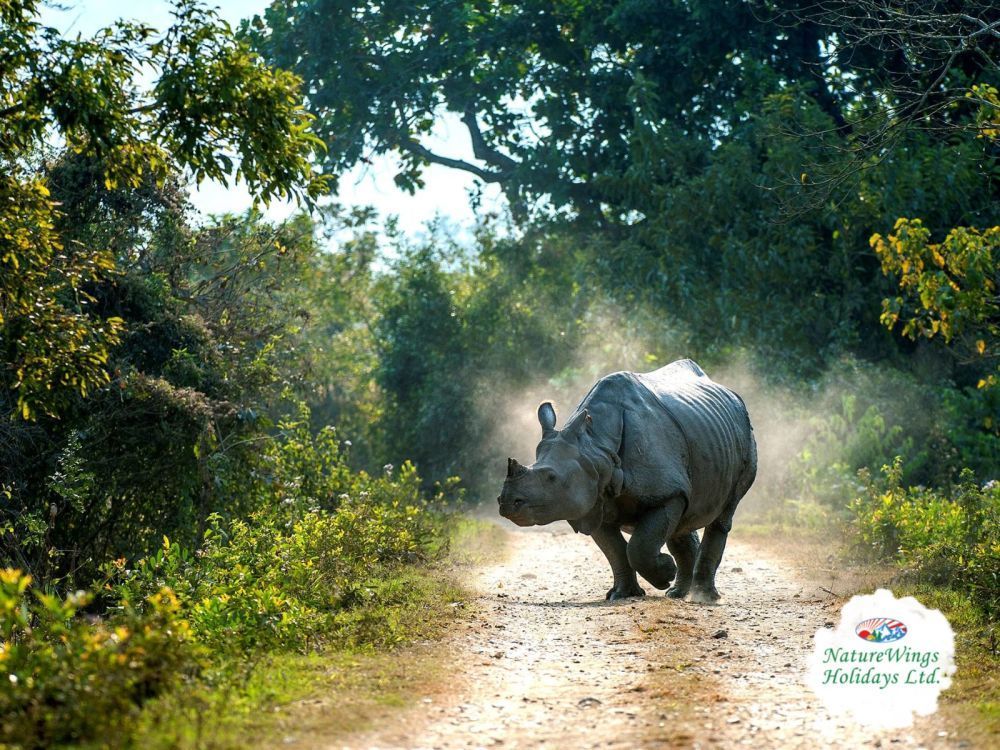 experience-the-soul-of-arunachal-premium-tawang-tour-package-big-2