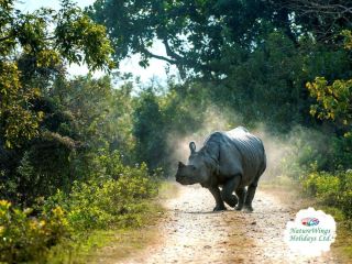 experience-the-soul-of-arunachal-premium-tawang-tour-package-small-2