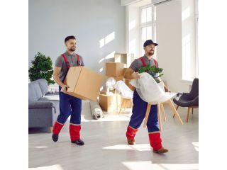 hire-experts-movers-packers-chandigarh-small-0