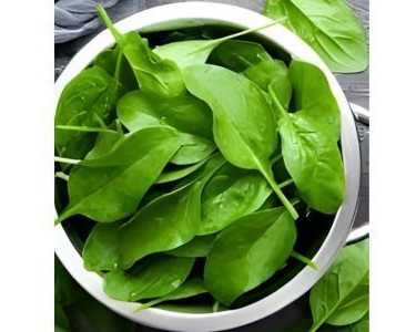 radish-palak-patta-leaves-uses-nutrition-and-recipe-tips
