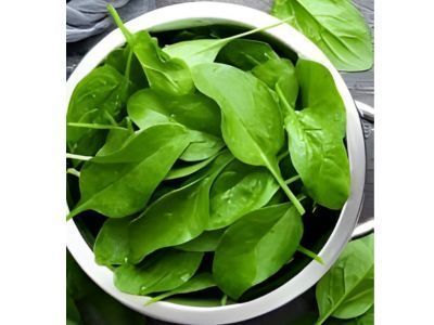 radish-palak-patta-leaves-uses-nutrition-and-recipe-tips