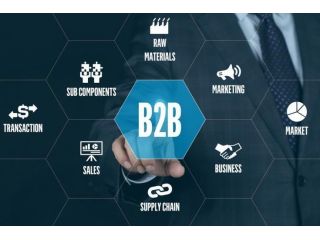 how-do-suppliers-grow-through-the-best-b2b-portal-in-india-small-0