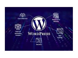 invoidea-is-a-top-wordpress-development-company-in-indi-small-0