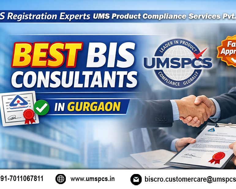 bis-consultant-in-gurgaon