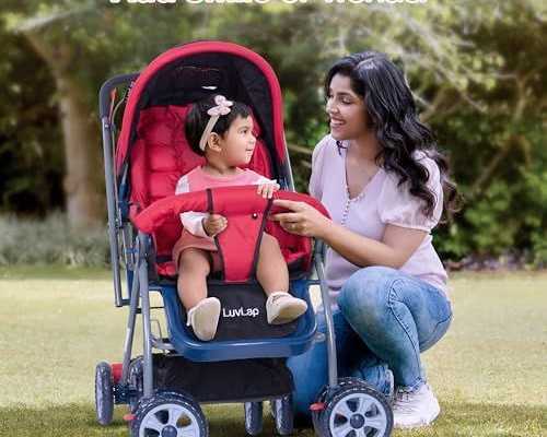 smooth-and-comfortable-strolling-for-modern-parents