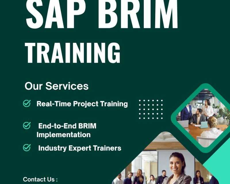 best-sap-brim-training-institute-in-hyderabad