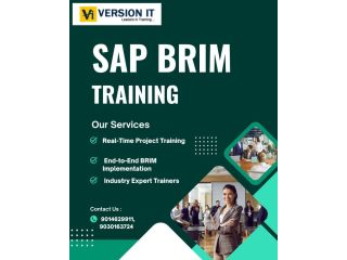 best-sap-brim-training-institute-in-hyderabad-small-0