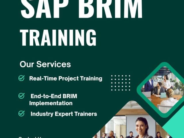 best-sap-brim-training-institute-in-hyderabad