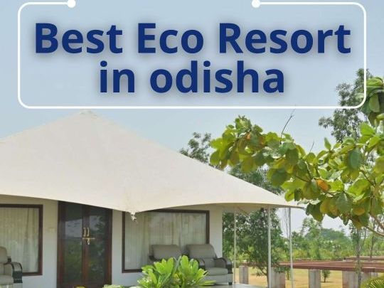 best-eco-resorts-in-odisha