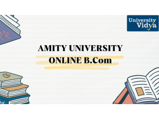 amity-university-online-bcom-commerce-career-small-0