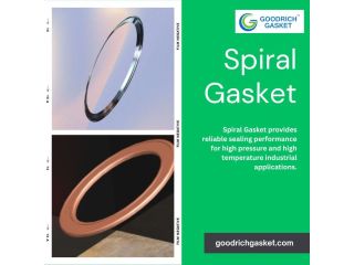 spiral-wound-gasket-small-0