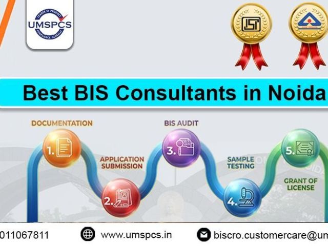top-bis-consultant-in-noida