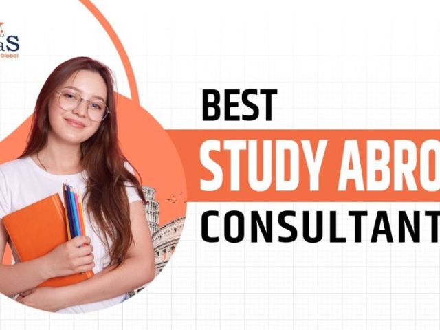 where-to-study-in-new-zealand