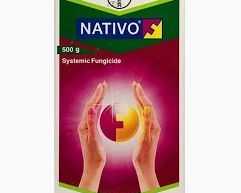 nativo-fungicide-for-fungal-disease-protection-in-crops