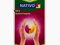 nativo-fungicide-for-fungal-disease-protection-in-crops