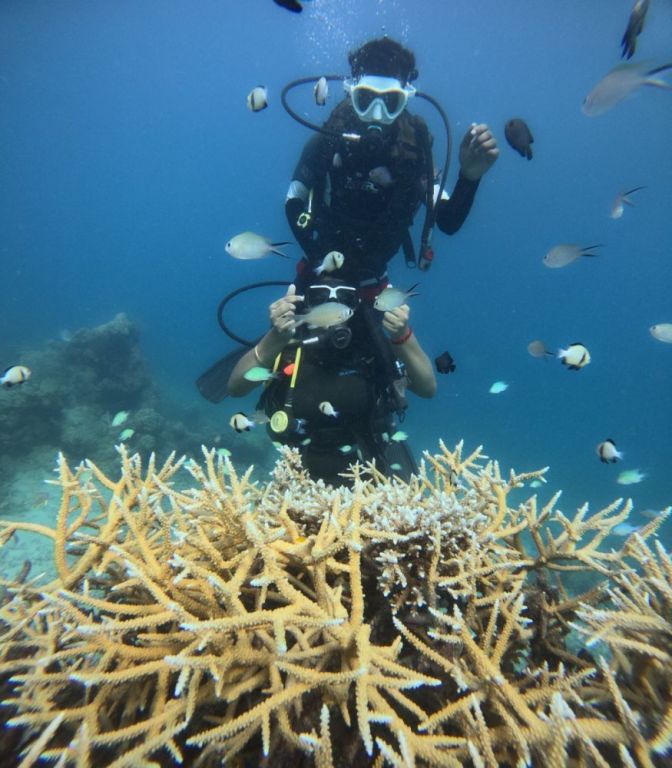 scuba-diving-in-havelock-to-unwind-a-hidden-underwater-paradise-big-0