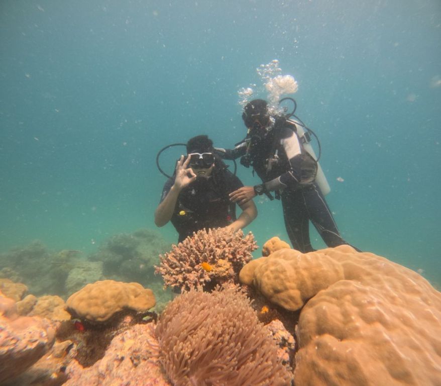 scuba-diving-in-havelock-to-unwind-a-hidden-underwater-paradise-big-2