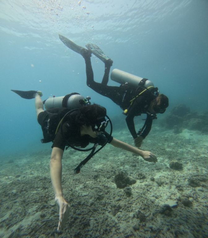 scuba-diving-in-havelock-to-unwind-a-hidden-underwater-paradise-big-1