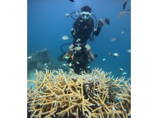 scuba-diving-in-havelock-to-unwind-a-hidden-underwater-paradise-small-0