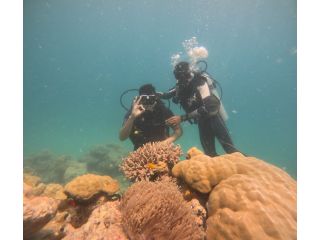 scuba-diving-in-havelock-to-unwind-a-hidden-underwater-paradise-small-2